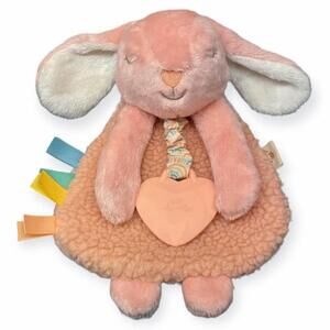 Itsy Ritzy Lovey Bunny Rabbit Plush Silicone Teether Textured Ribbons Crinkle